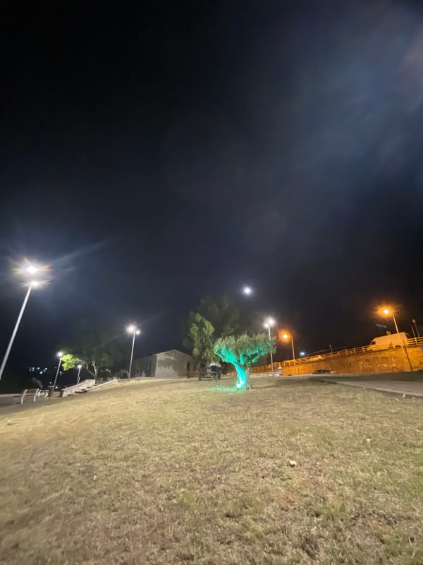 Summer night out in Kassandra — street food, lit streets, boats