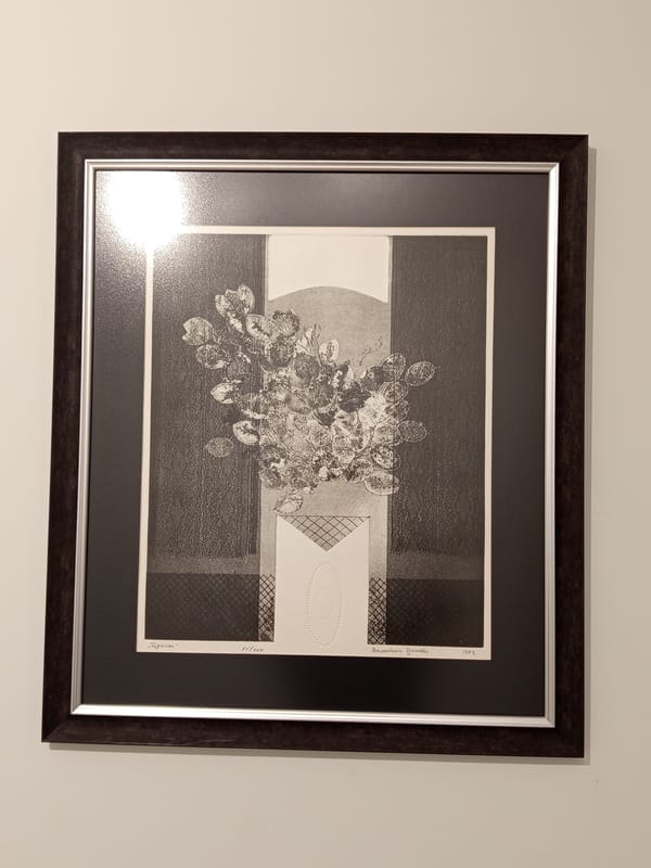 Wall art displays documented in Burgas, Bulgaria