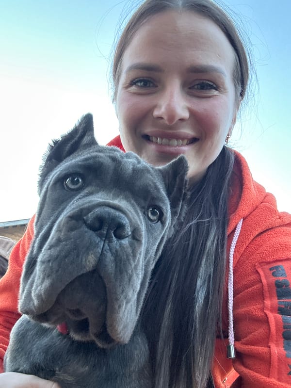 Woman photographs with Cane Corso dog in Rusalevka