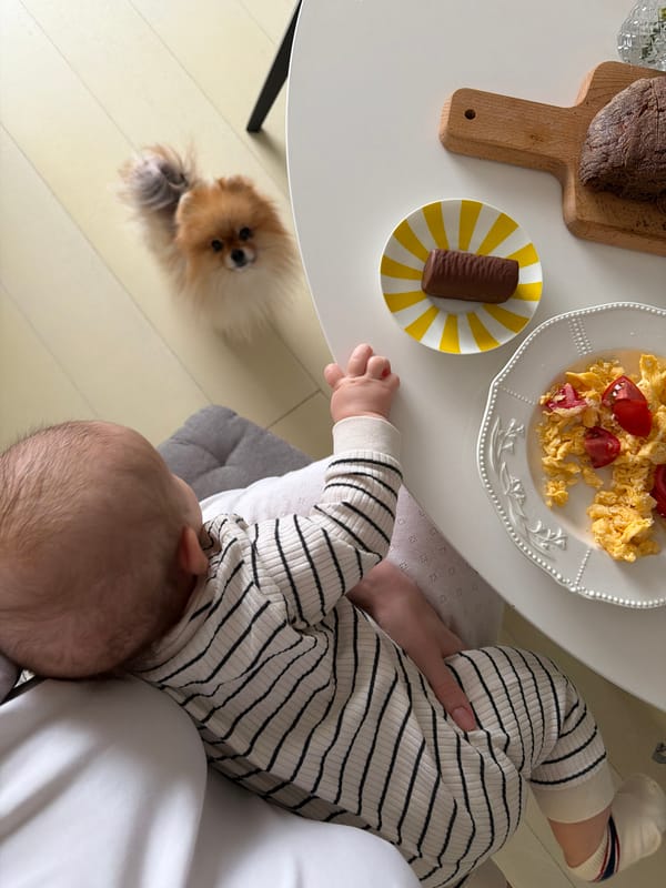 Family breakfast scene documented in Khimki home
