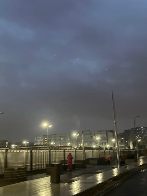 Woman takes evening selfies in snowy Saint Petersburg