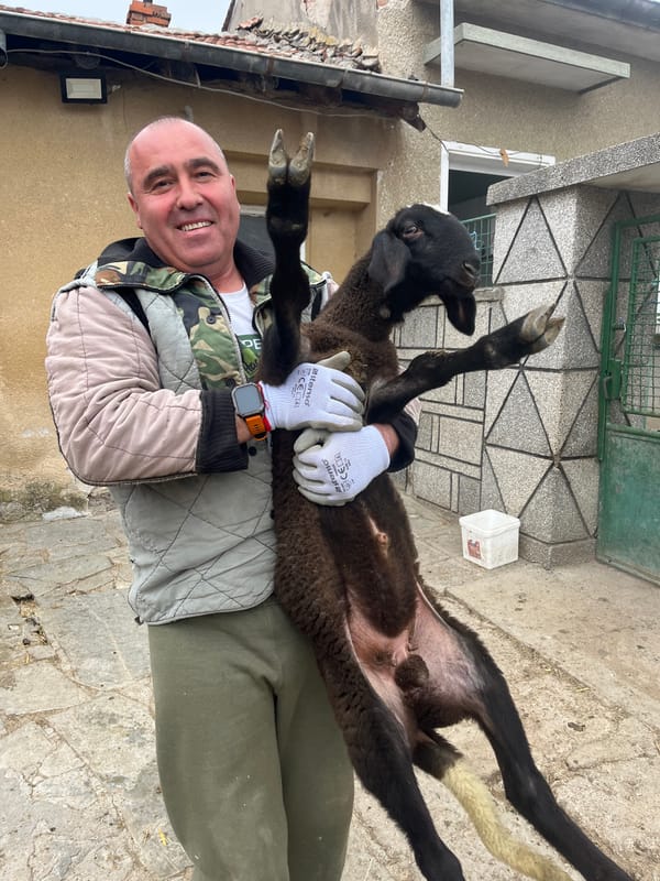 Man holds black lamb in Bulgarian village