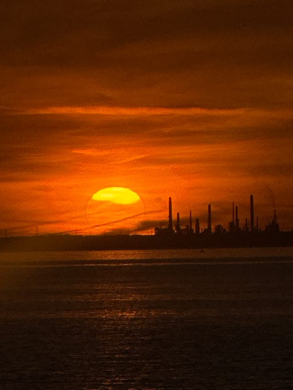 Sunset observed over Ryde waterfront with pier silhouette