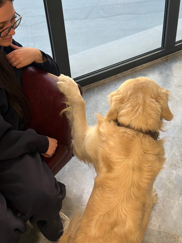 Armenians share ice cream, take smartphone photos in casual gathering