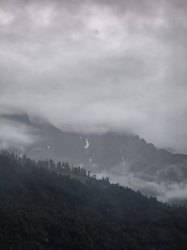 Overcast skies and cloud-draped peaks above Vashisht forests