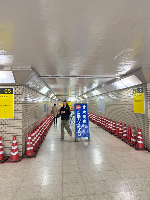 Person spotted in cone-lined underground tunnel in Tokyo