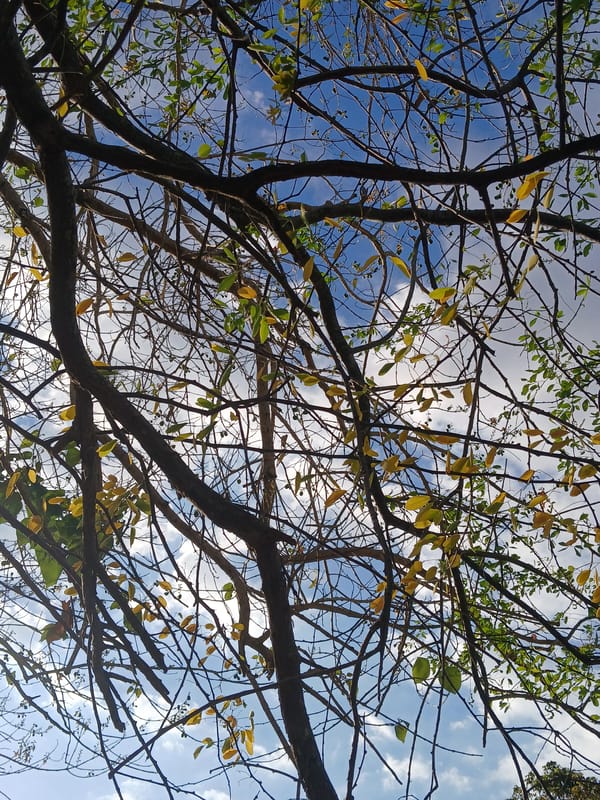 Evening urban exploration documented across Guayana City, Venezuela