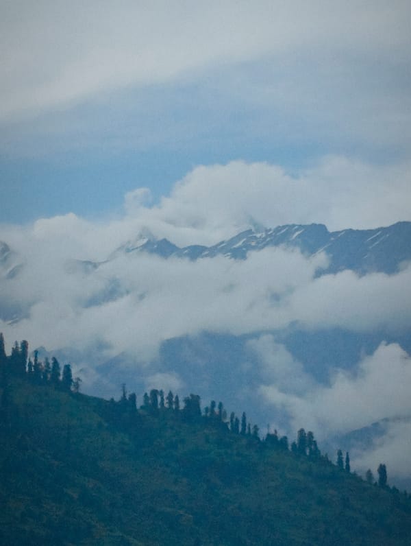 Forested hillside under cloudy skies near Vashisht, Himachal Pradesh