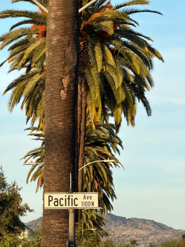Palm-lined Pacific Avenue documented in early morning Glendale scene