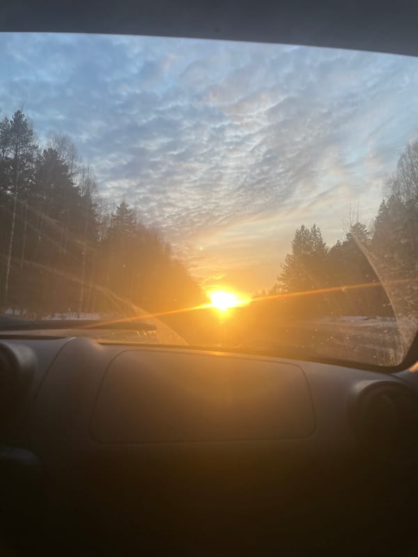 Vehicle occupant views forest landscape in Garevaya, Russia