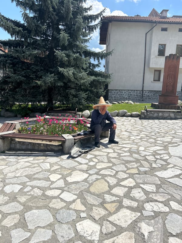Rabbit banner displayed in Bansko park setting