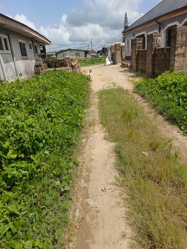 Witnesses document undeveloped residential area with construction, vacant lots