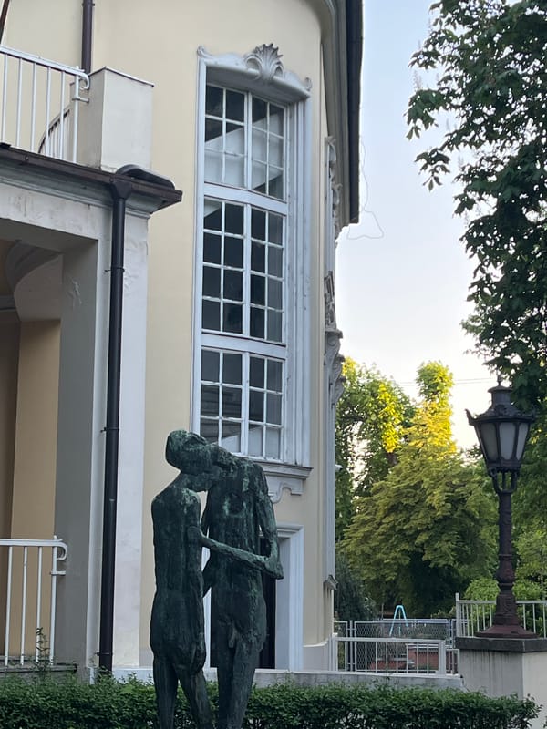Architectural survey documented in downtown Novi Sad