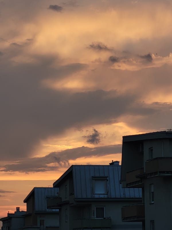 Sunset over city apartments, with a cat taking it easy