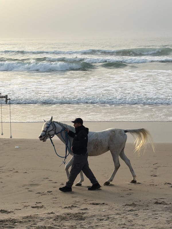 Ordinary beach day captured across Tel Aviv coastline