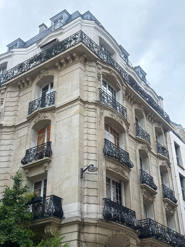 Woman takes elevator selfie near ornate Parisian building