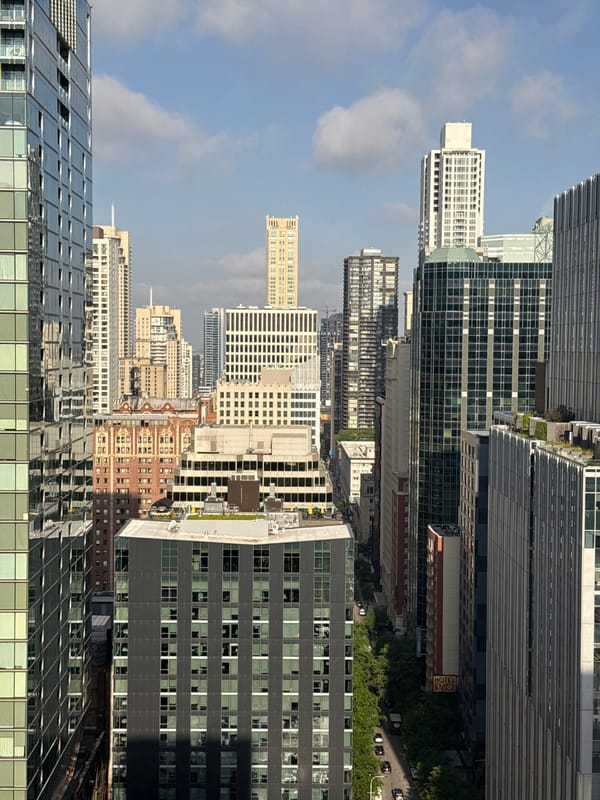 Chicago skyline and anthurium blooms from a high-rise vantage point