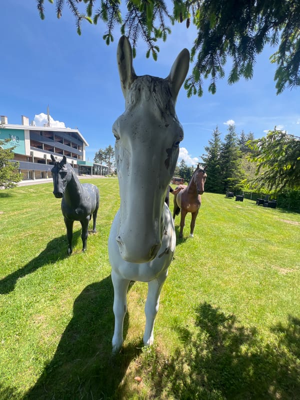 Visitors encounter life-sized horse statue installation on hillside