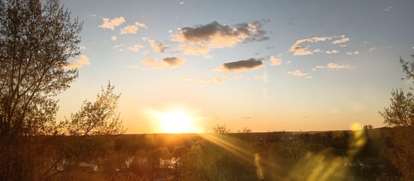 Afternoon collection captures selfies, sunsets, everyday moments