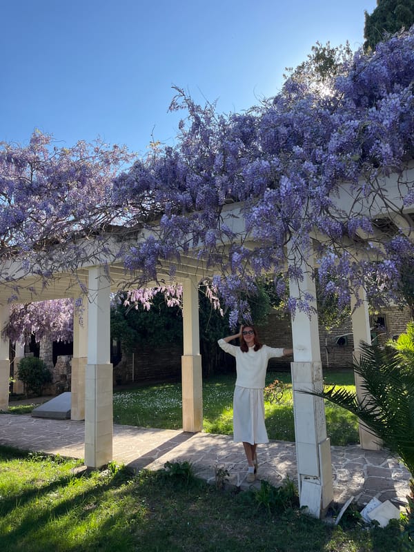 Spring afternoon captured at wisteria pergola in Montenegro