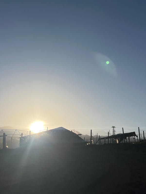 Rural sunrise scene with horse captured in Kornitsa, Bulgaria