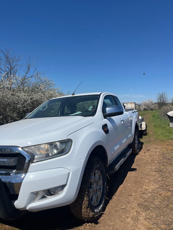 White pickup truck spotted parked in rural field