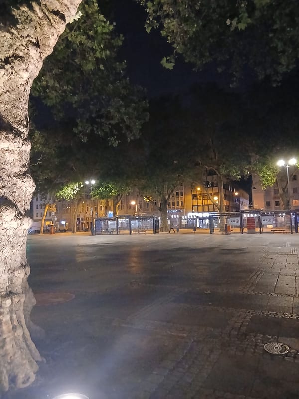 Cologne's Neumarkt at night, trams and lit trees