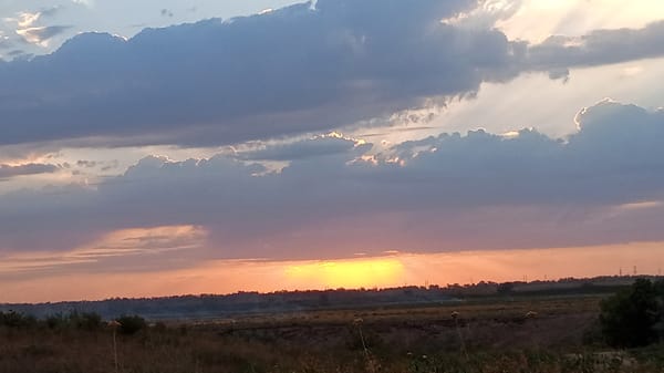 Golden hour over the flat rural fields of Novyy Put