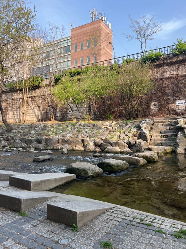 Cheonggyecheon Stream section documented in central Seoul