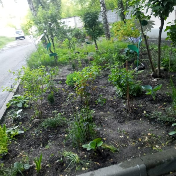 Witness documents casual Moscow neighborhood walk, capturing flowers and street life