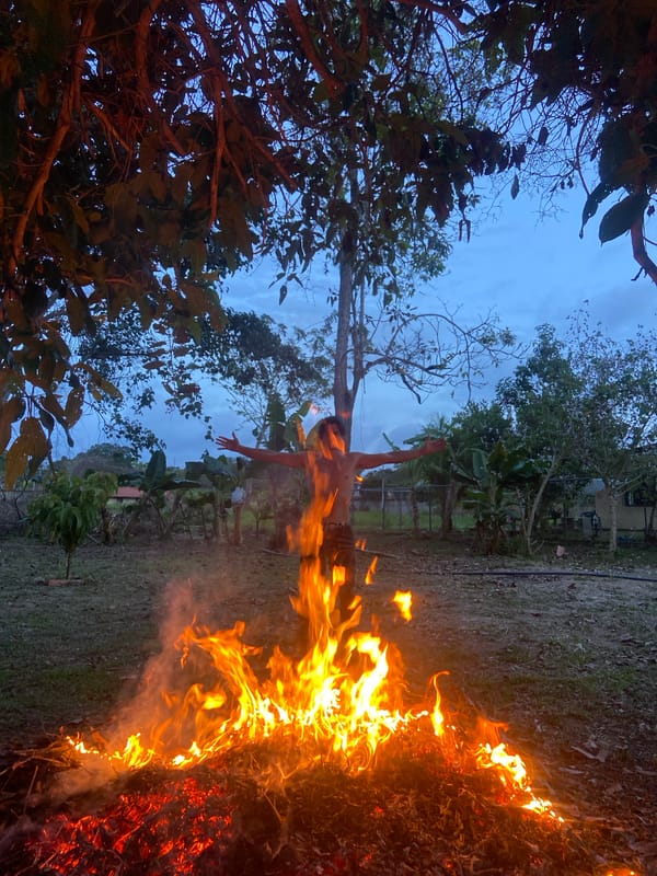 Man exercises on makeshift tree branch bars in Venezuela