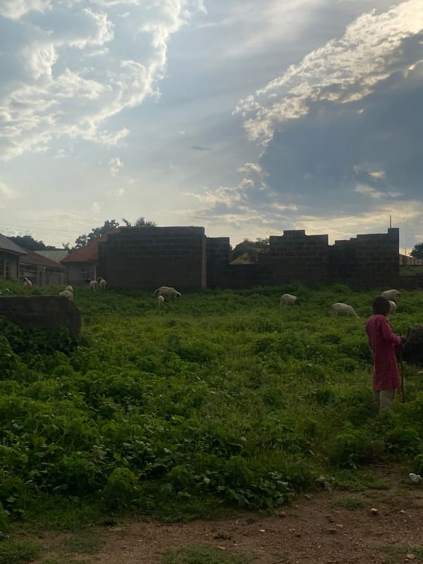 Rural community life: livestock, weathered buildings, daily routines
