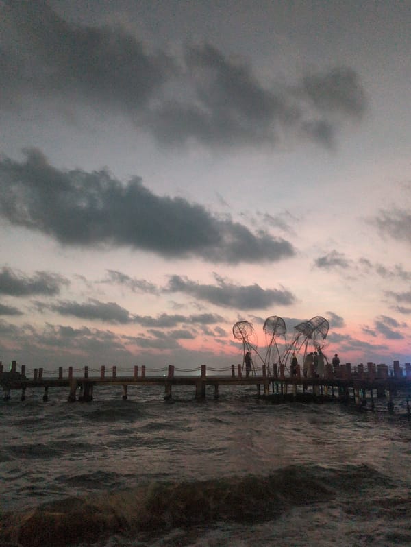 Marine-themed wire sculptures spotted on Phú Quốc waterfront pier