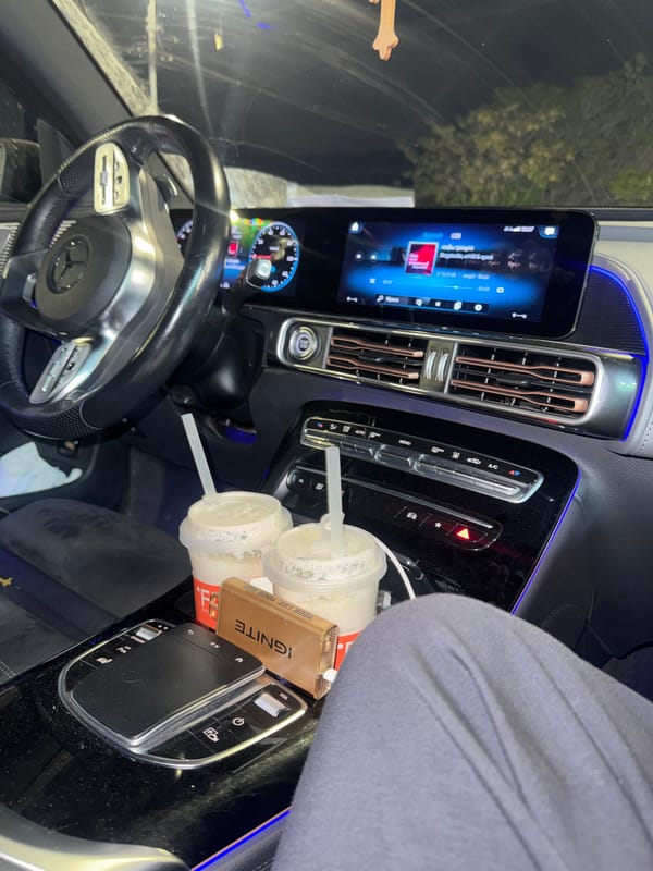 Person observed in Mercedes-Benz vehicle interior