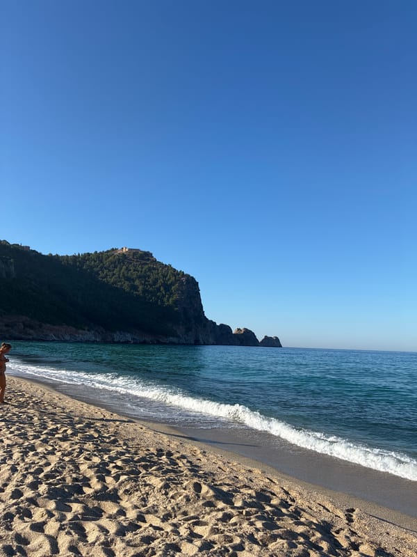 Alanya beach morning: sun, sea, and street cats