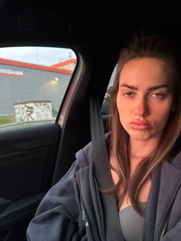 Woman in gray hoodie observed in car during sunset