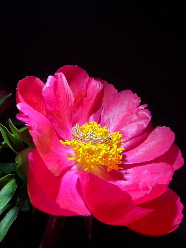 Photographer documents peony flowers and gold ring in Chaikovsky