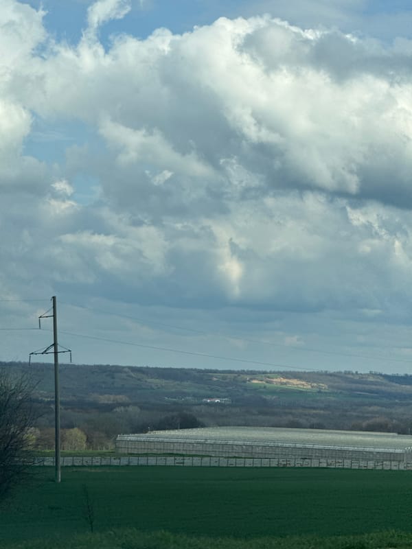 Rural scenes and everyday moments captured near Radischevo, Russia