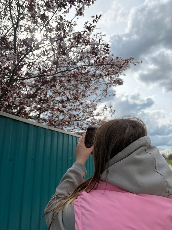 Women photograph spring blossoms during casual outing in Russia