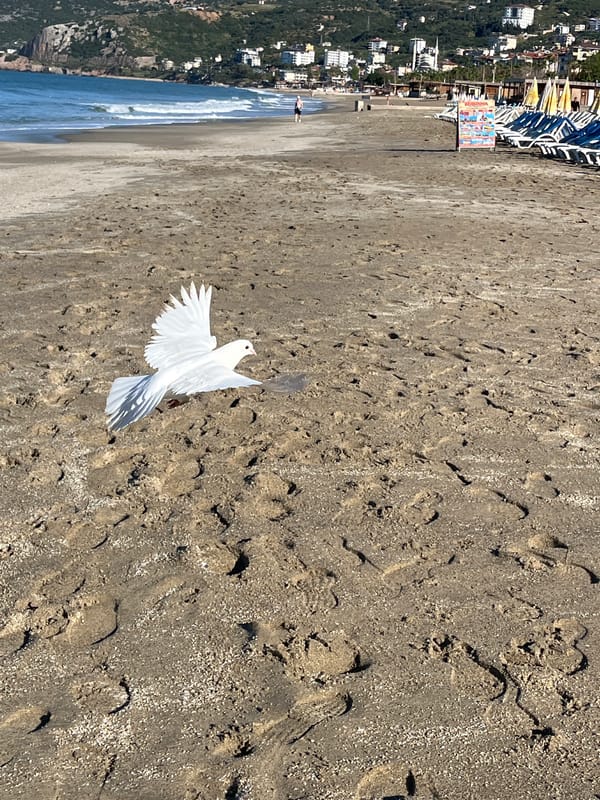 Early morning beach activity documented in Alanya, Turkey