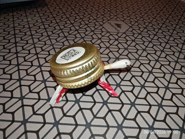 Homemade turtle figurine made from bottle cap documented