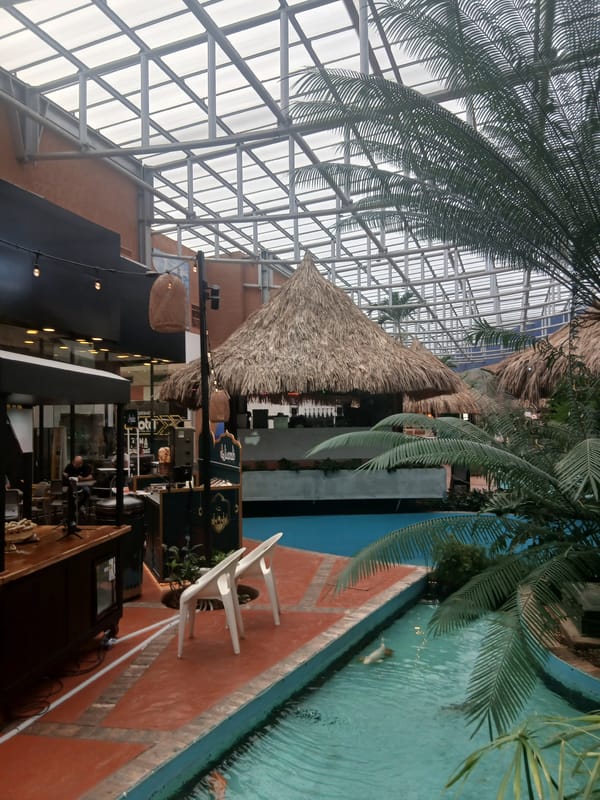 Indoor koi garden documented in Pampatar, Venezuela