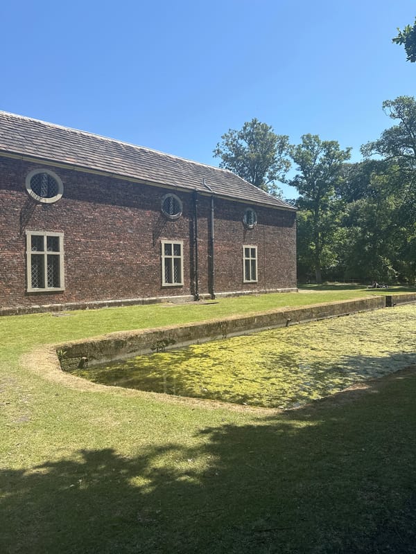 Afternoon at a historic Trafford estate with deer and parkland