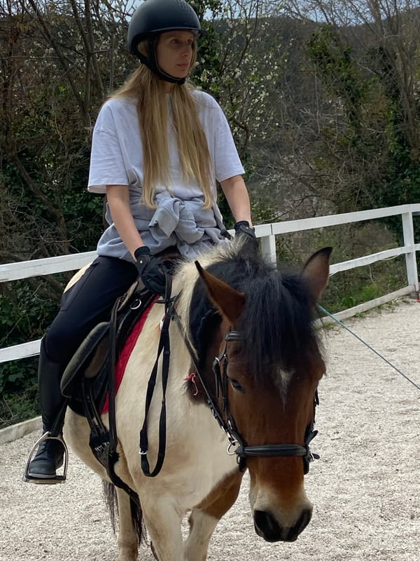 Horse jumping practice session observed in Podostrog, Montenegro