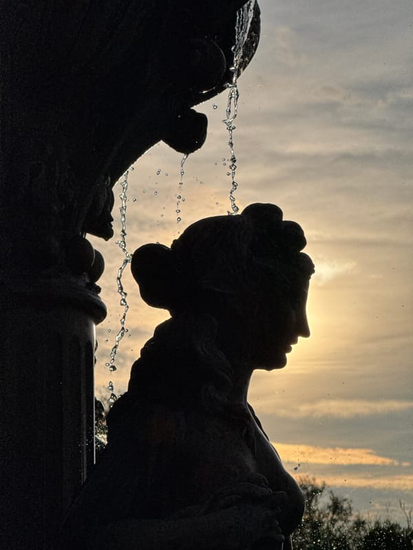 Sunset silhouettes captured at Minsk fountain monument