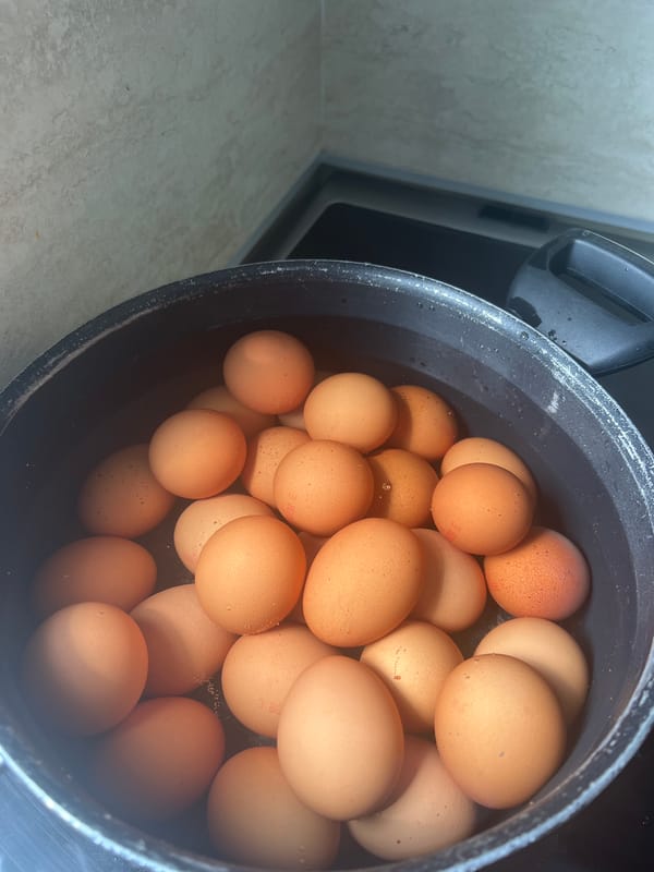 Eggs boiling in kitchen pot documented in Yambol, Bulgaria