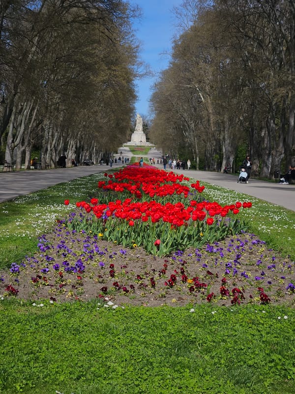 Spring day captured in Varna park with blossoms and visitors