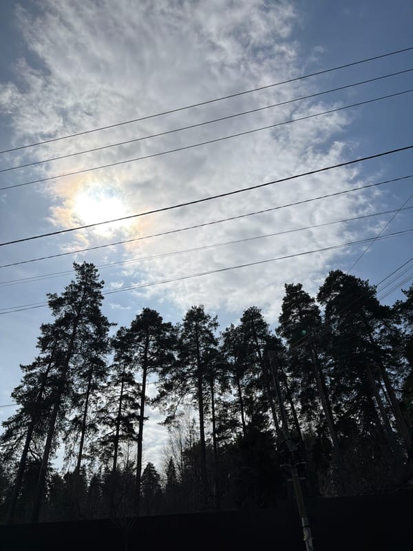 Spring morning walks and photography documented in Chaikovsky, Russia