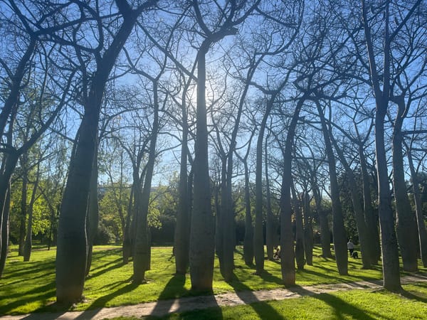 Art gallery visit documented in Valencia's museum district