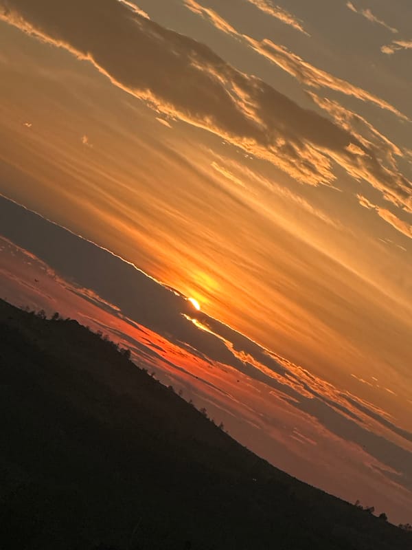 Wildflowers and golden sunsets across Oskemen, Kazakhstan
